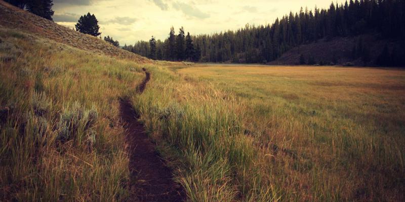 GM锁具如何为老人小孩设计?深度剖析家庭安防产品的适老适幼化功能