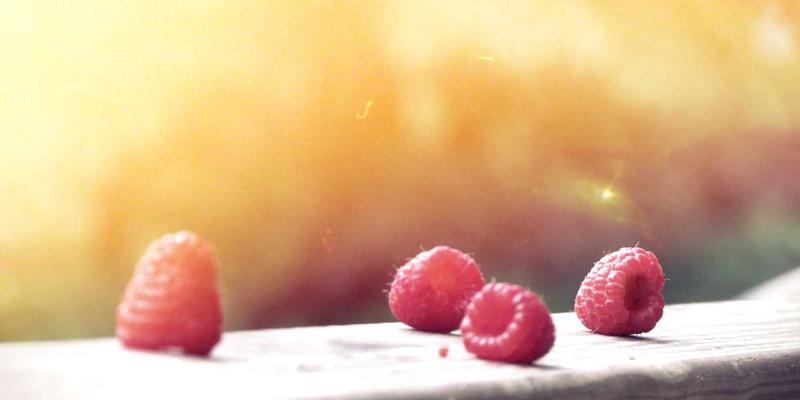 公寓管理者必读：GM锁具智能门锁选购指南，兼顾商业安防与租户体验