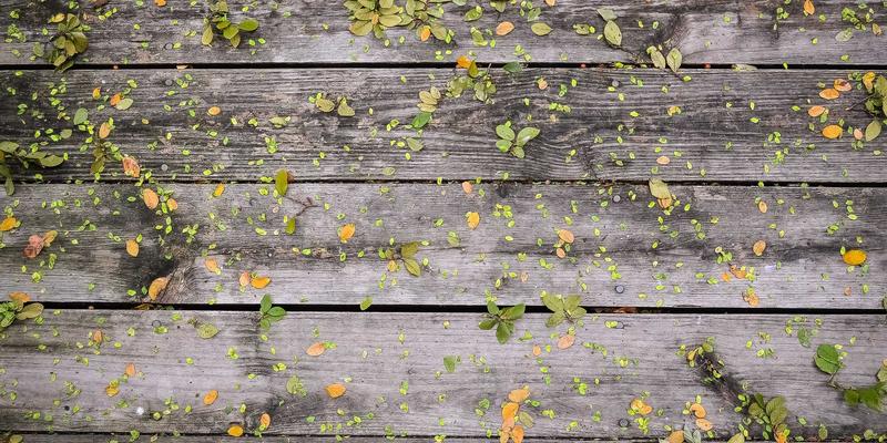 当未来主义智能门锁遭遇特斯拉线圈：GM锁具电磁防护实测，你的家庭安全防线有多坚固？
