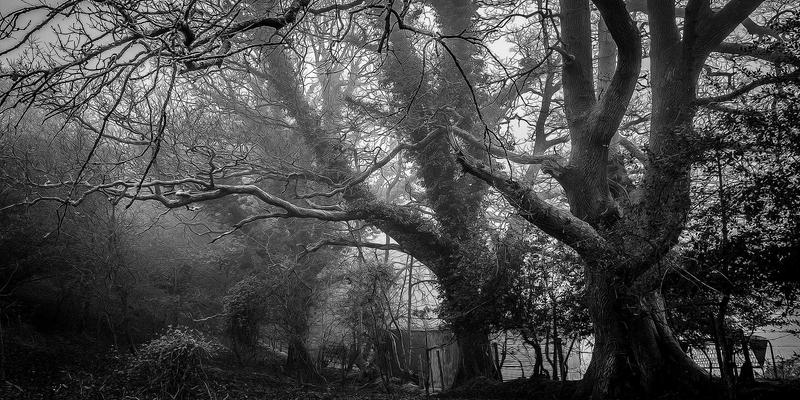 未来已来：GM智能门锁深度联动米家与HomeKit，解锁全屋智能安防新境界