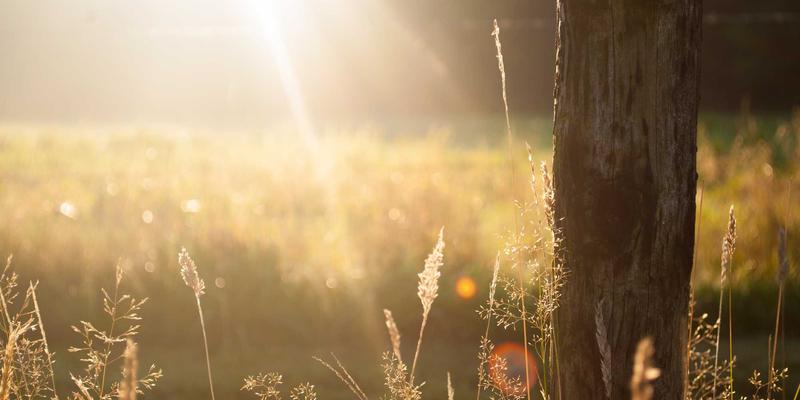 未来已来：GM锁具临时密码功能如何重塑民宿运营新范式