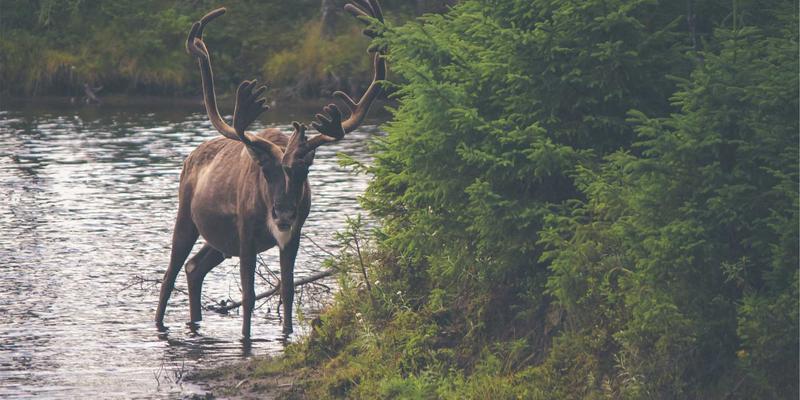 紫色未来主义：GM锁具如何用快开把手与童锁功能，重塑家庭安防的智慧平衡